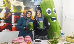 Çubuk Turşusu festivale hazırlanıyor