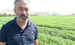 Beypazarı'nda 600 bin dekardan fazla alanda tarımsal üretim yapılıyor