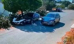 Bodrum'da otomobil, iki köpeğin üzerinden geçti; o anlar kamerada