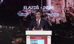 Cevdet Yılmaz: Ekonomimizin 2029 yılında yüzde 5 büyümesini öngörüyoruz