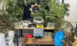 Hatay'da 122 kök Hint keneviri ve 14 kilo 752 gram kubar esrar ele geçirildi; 1 şüpheli tutuklandı