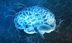 Beyindeki elektrik dalgaları düşünceleri birbirine bağlıyor