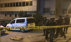 Kırmızı bültenle aranan suç örgütü üyesi Gürcistan’dan Türkiye’ye giriş yaparken yakalandı