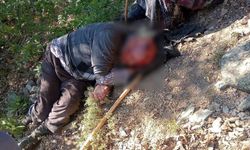 Kuşburnu toplarken 30 metreden yuvarlanıp yaralandı