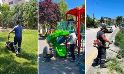 Park ve bahçelerde bakım çalışmaları sürüyor