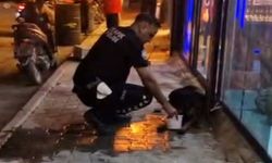 Silahla vurularak yaralanan sokak köpeğine polis ekipleri sahip çıktı
