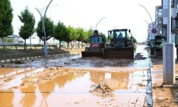 Rize'de sağanağın ardından temizlik ve hasar tespit çalışmaları sürüyor