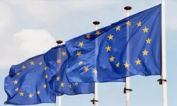 AB'ye 2030 emisyon hedeflerine uyum takvimini erteleme çağrısı