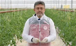 Tarım ve Orman Bakanı Yumaklı: Örtü altı üretimde dünyada dördüncü, Avrupa'da ikinci sıradayız