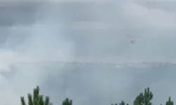 Arnavutköy'de ormanlık alanda çıkan yangın söndürüldü