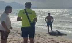 Yattan düşen iş insanının cesedi sahilde vurdu