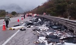 Devrilen palamut yüklü kamyonun sürücüsü hayatını kaybetti