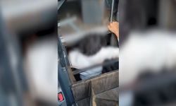 Ankara’da yolcu otobüsünün gizli bölmesinde 5 düzensiz göçmen yakalandı