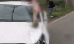 Arnavutköy’de otomobil ata çarptı; 3 yaralı