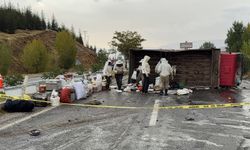 Bal ve arı kovanı yüklü kamyonet devrildi; 3 yaralı