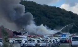 Eyüpsultan'da yediemin otoparkında çıkan yangın söndürüldü