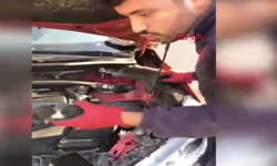 Otomobilin kaputunda mahsur kalan 3 yavru kediyi itfaiye kurtardı