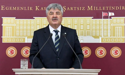 Zeytinyağı ihracatında yüzde 62 kayıp Meclis gündeminde