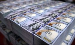 Merkez Bankası rezervleri 171,6 milyar dolar oldu