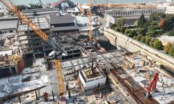 Haliç’in kıyısındaki inşaatın ortasında kalan ağaç havadan görüntülendi