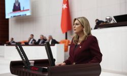 Elvan Işık Gezmiş’ten Eczacı ve Diş Hekimi atamaları için çağrı