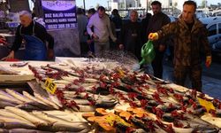 Karadeniz'de av sezonu bereketi; tezgahlar palamutla doldu