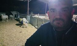 Koyunlarını otlatırken ölü bulundu