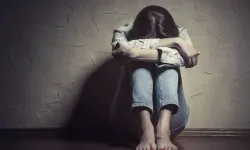 Komisyonun gündeminde nafaka ve kadın mağduriyetleri olacak