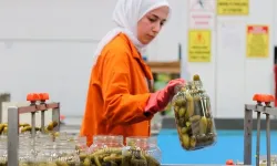 Türkiye'nin 9 aylık turşu ihracatı 301 milyon doları aştı