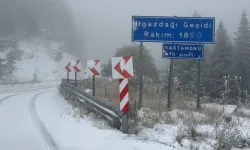 Ilgaz Dağı kar yağışıyla beyaza büründü