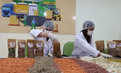 Türkiye'de 74 ilde gıda atıkları hayvan mamasına dönüştürülüyor