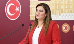 Milyarları götürenin bileğine hukuk dokunacak mı?
