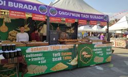 Ankara'da 5. Ordu Günleri başladı