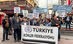 Görme engellilerden erişilebilirlik çağrısı