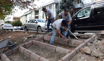 Yenimahalle’nin parklarına detaylı bakım