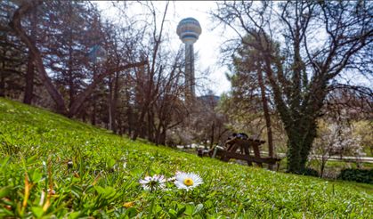 Bugün Ankara'da bahar havası hakim