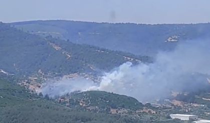 İzmir'de orman yangını