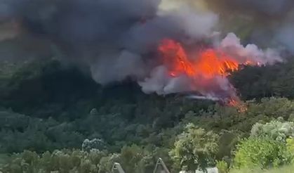 Sakarya Geyve’de yeni orman yangını