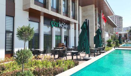 Ekonomik “Çankafe” sayısı artıyor