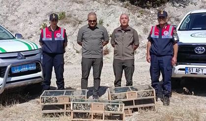 Kütahya'da ele geçirilen 142 saka kuşu doğaya salındı