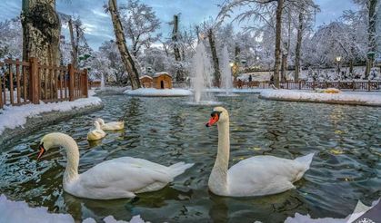 Ankaralılar hafta sonu donacak