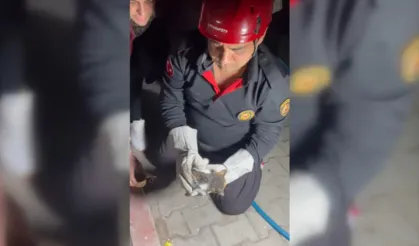 Osmaniye’de mazgala düşen yavru kedi itfaiye ekiplerince kurtarıldı