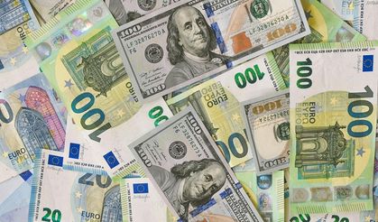 Dolar ve euro haftaya yükselişle başladı