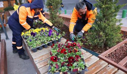 Çansera'dan kent merkezine kış renkleri