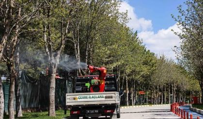Çankaya’da ilaçlama seferberliği