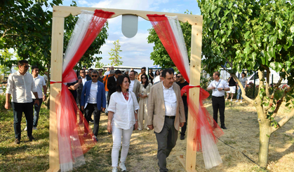 Ata Çiftliği’nde ilk dut toplandı