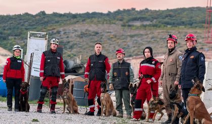 Enkaz alanı, arama- kurtarma köpeklerinin eğitim merkezi oldu
