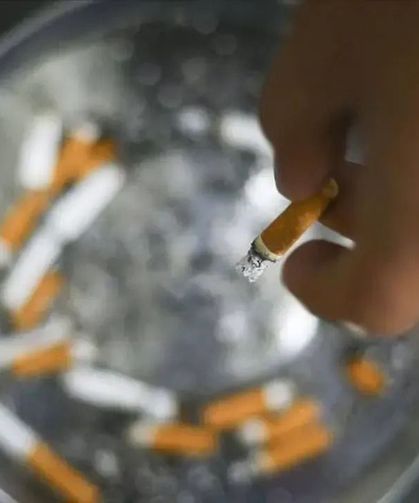 Sigara hem sağlığı hem çevreyi etkiliyor