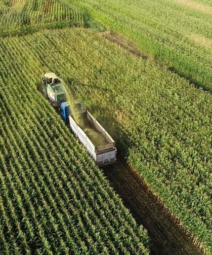 Tarımsal girdi fiyat enflasyonu şubatta yükseldi