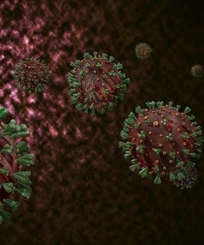 DSÖ: Afrika'da yaygın M çiçeği virüsüne karşı sürekli bulaşma riski nedeniyle hedefli aşılama şart